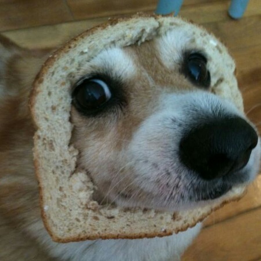 Tiny big nOse - YouTube