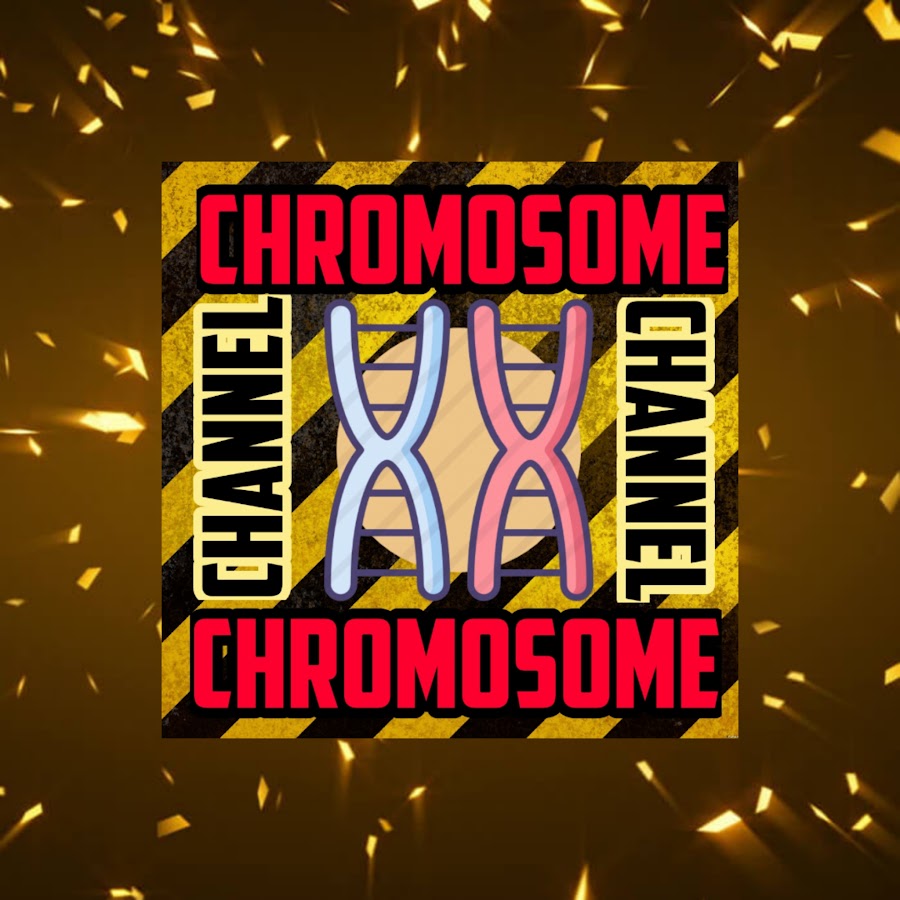 Chromosome Channel - YouTube