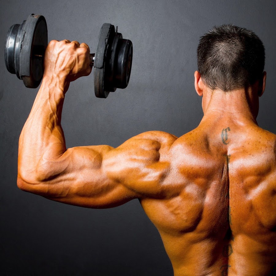creatine muscle builder review - YouTube