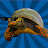 Ivan The Turtle avatar
