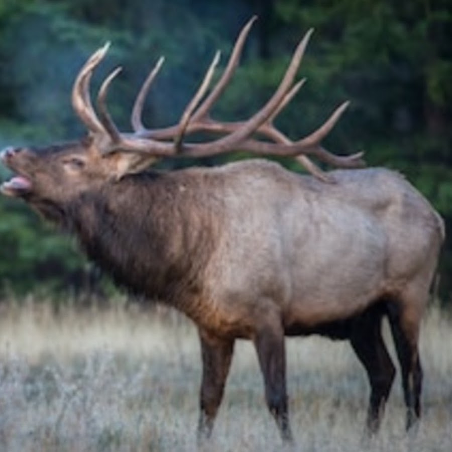 erik silbernagel - YouTube