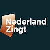 What could NederlandZingt buy with $453.2 thousand?