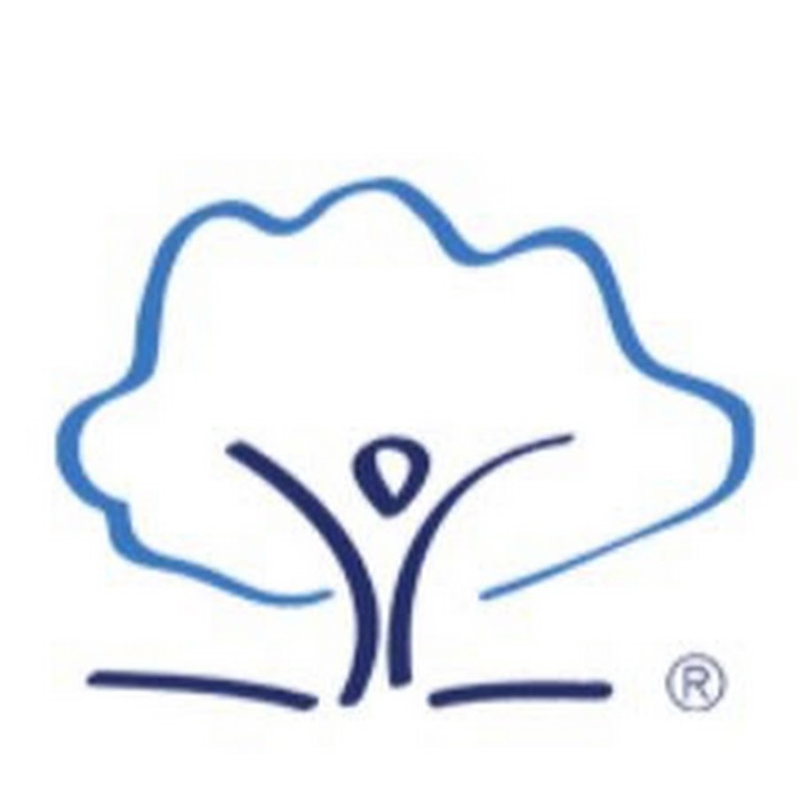 Langford Primary School YouTube