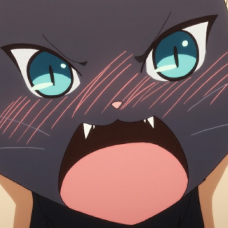 Tsundere Cat - YouTube