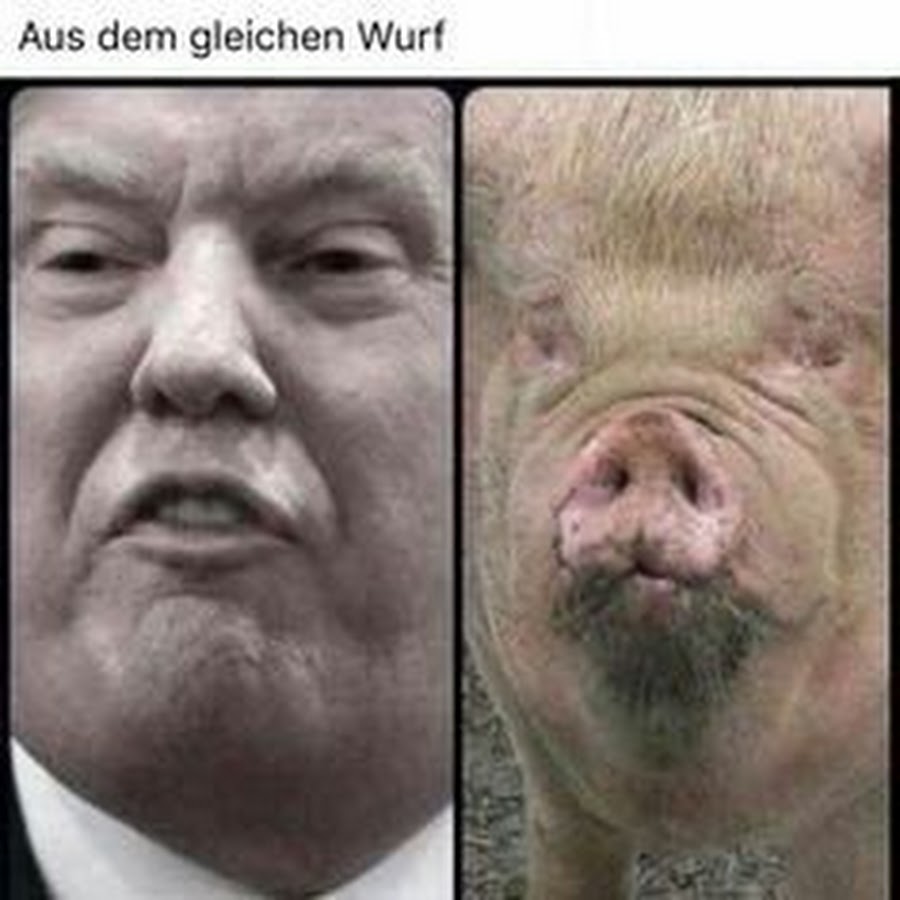 Ich Kann Kein Englisch Du Spast