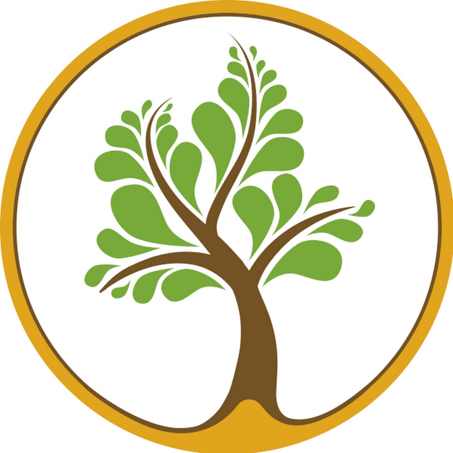 Tree of Science - YouTube