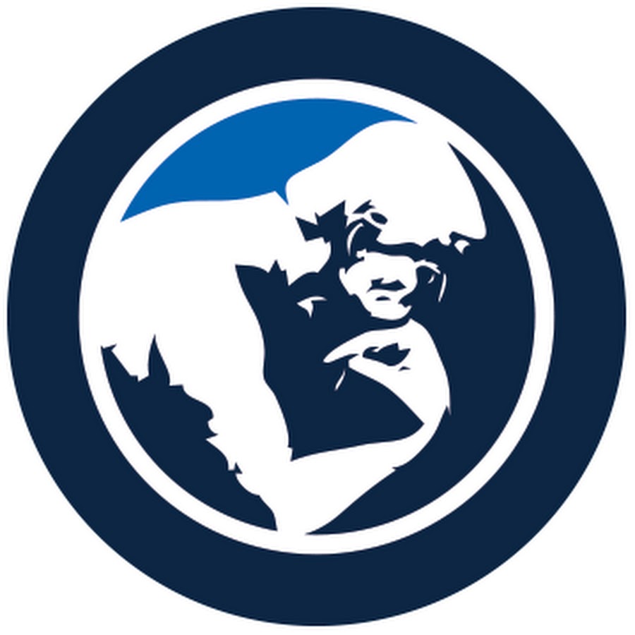 Reconstructive Orthopedic Center Houston YouTube