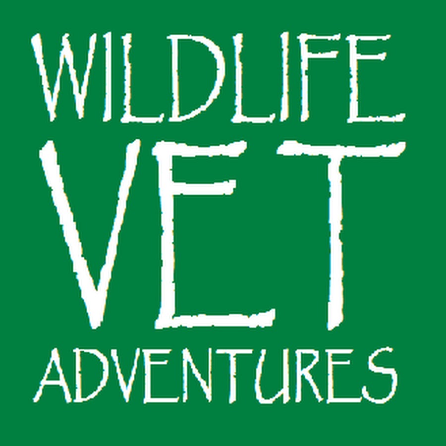 Wildlife Vet Adventures - YouTube
