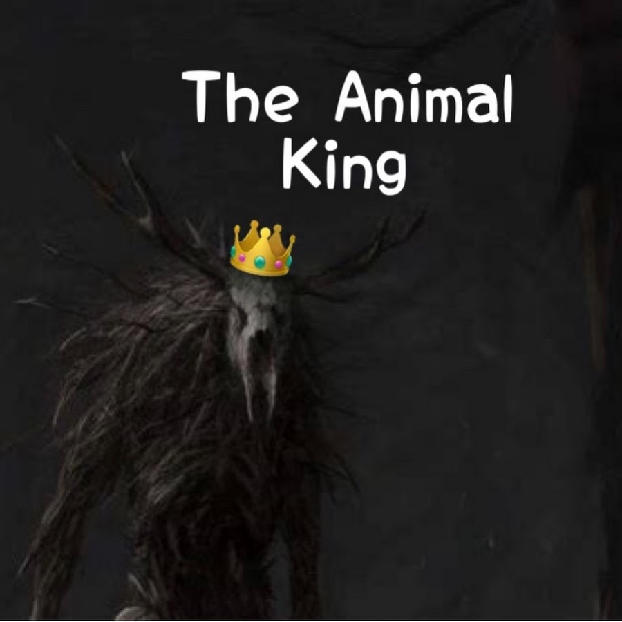 The Animal King - YouTube