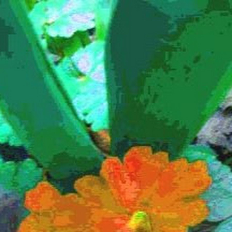 татьяна васильева YouTube