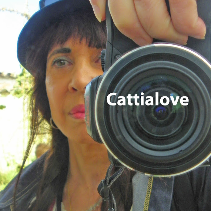 cattialove Net Worth & Earnings (2026)