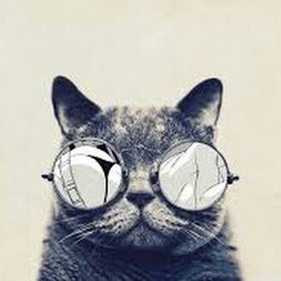 The Trolling Cat 