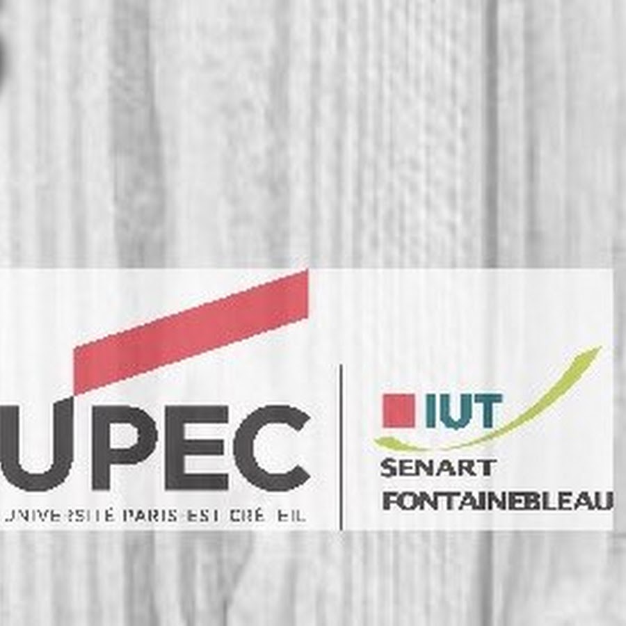 Dut - Carrières Sociales Parcours Animation Sociale Et Socioculturelle