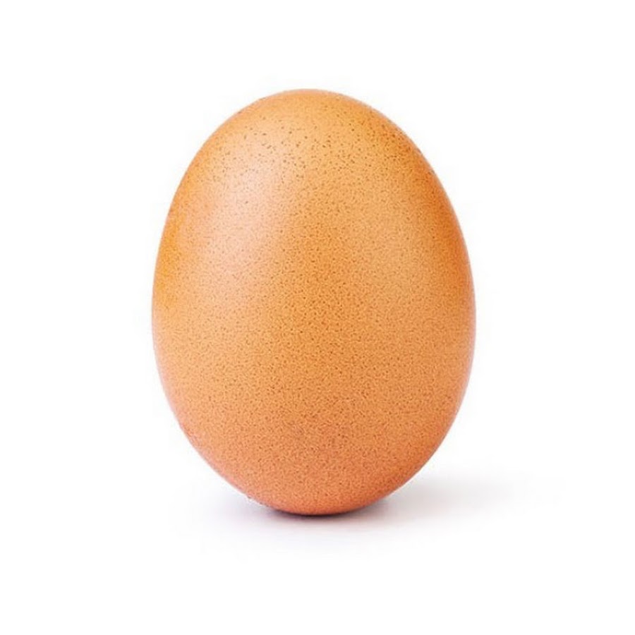 Egg with 100,000 subscribers - YouTube