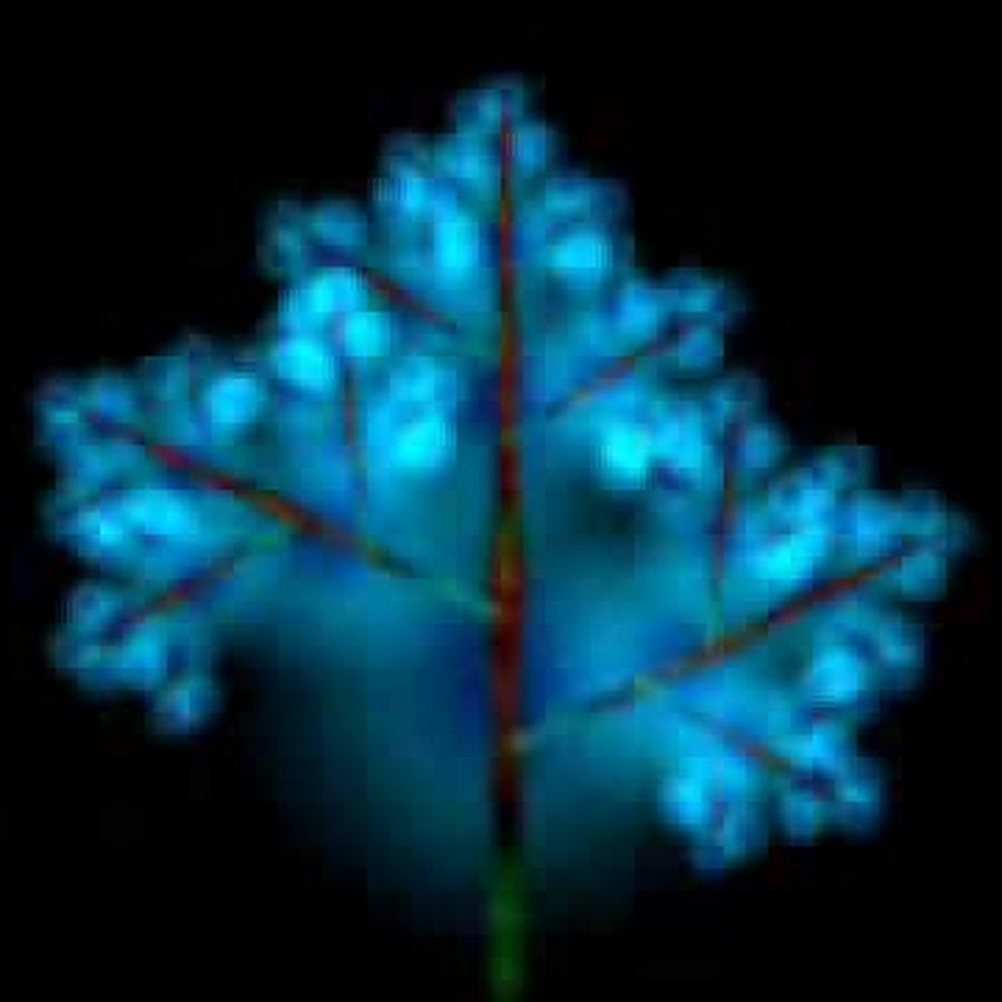 mastrumicu - YouTube