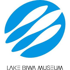 サメとつくけどサメじゃない 古代魚チョウザメ 琵琶湖博物館