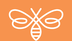 wedderspoon organic manuka honey drops