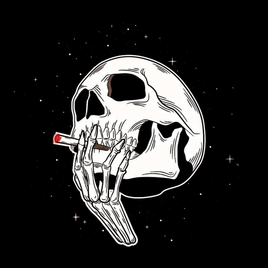 Evolution Martial Arts Academy YouTube