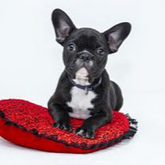 ちゃんねるゆゆ