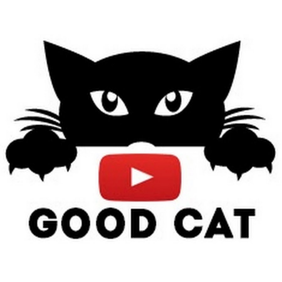 Mushuklar. Кошка вау. What cat are you. Is a cat good. It is a cat.