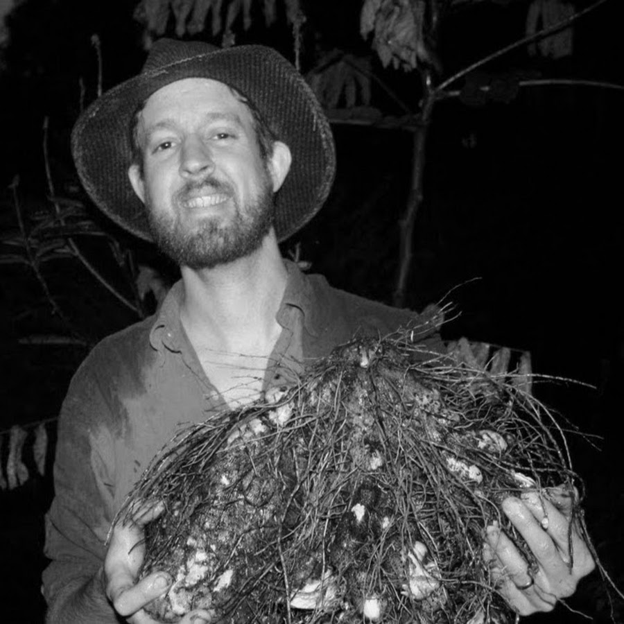 David The Good - YouTube