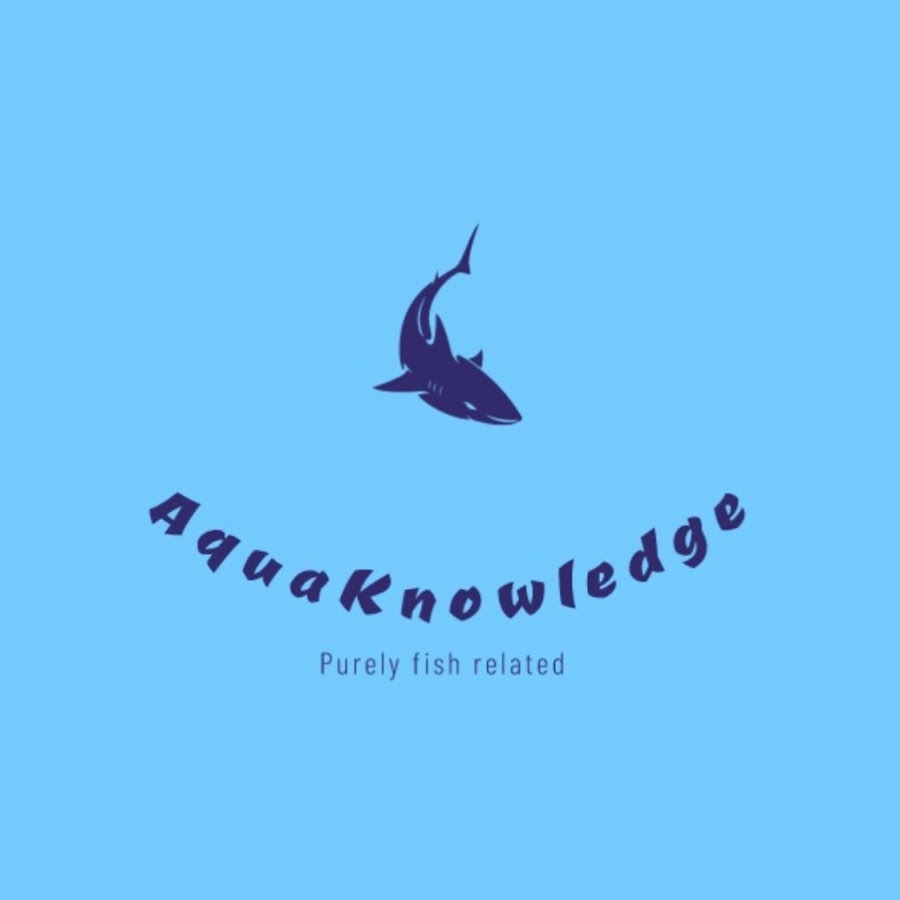 Newell brands logo. Pure fish d linquants. Omega pharma. Fish and more логотип. Норвежн фиш оил.