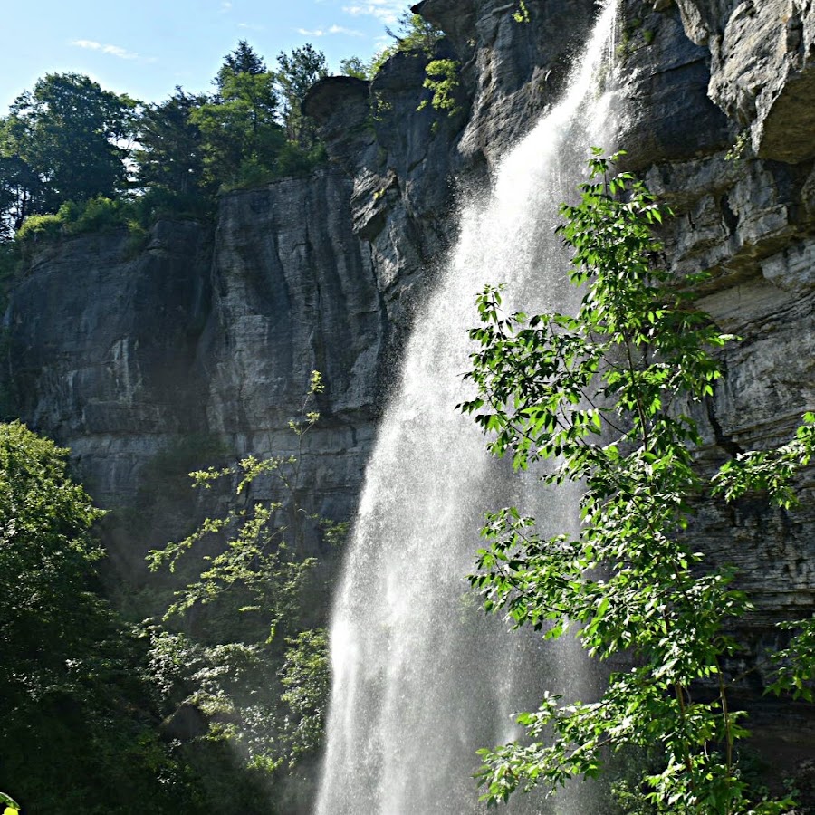 Lettuce Eat With Suzanne Ridgeway YouTube