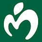 Mrs. GREEN APPLEが登録者数100万人を達成