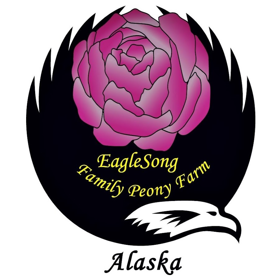 EagleSong Alaska YouTube