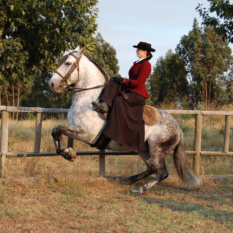 Верховая езда женщин. Дамское седло 19 века. Женское седло для лошади 19 век. Женское седло для верховой езды. Дамское седло для верховой.