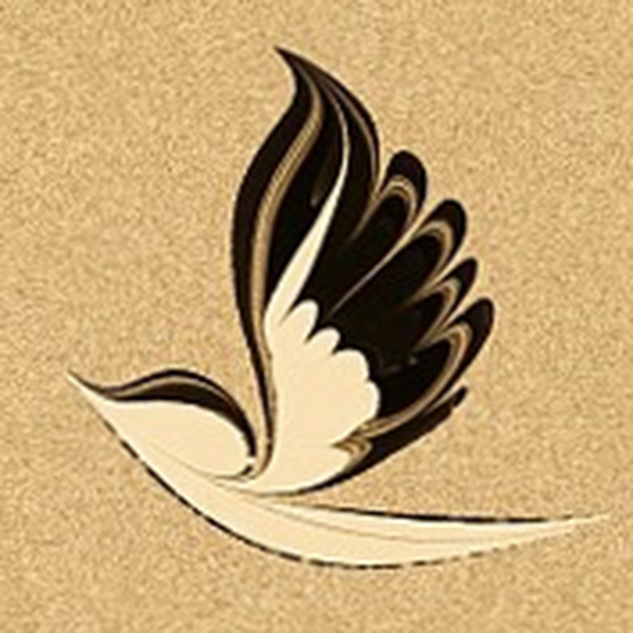 www.youtube.com