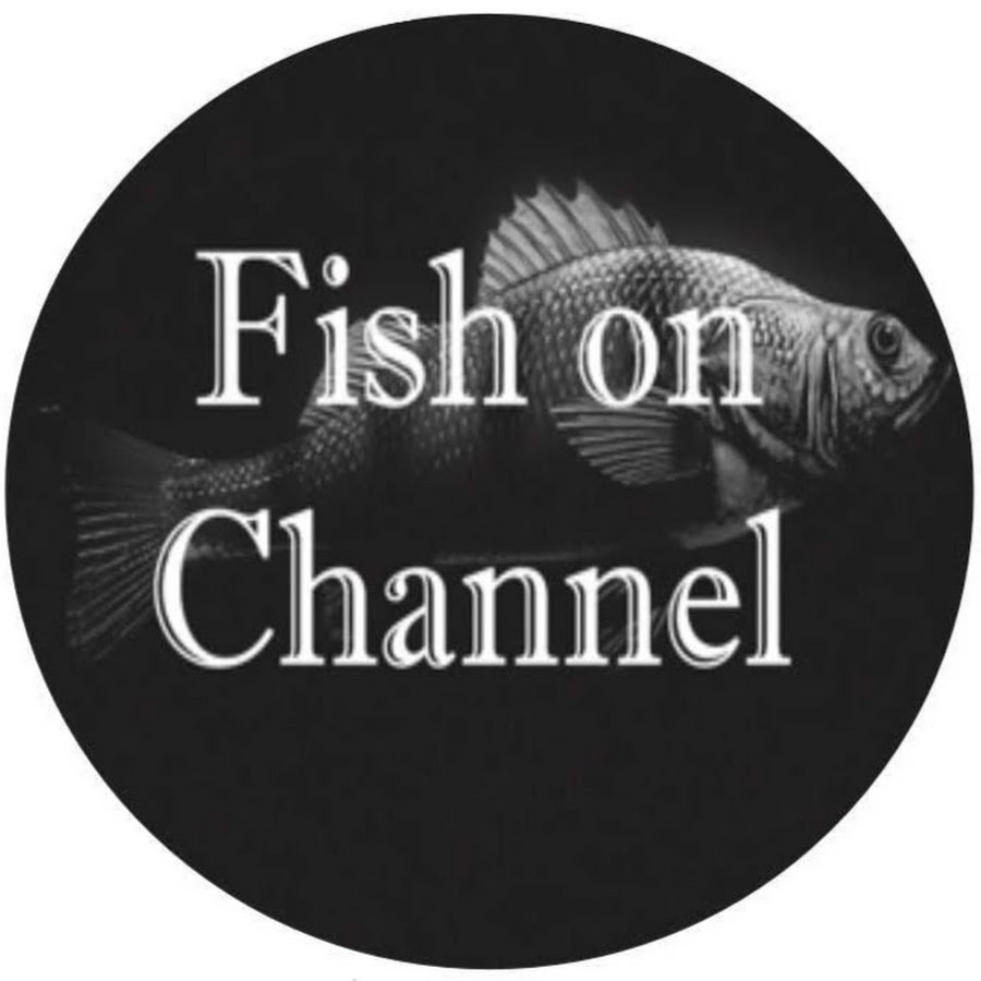 Fish on Channel YouTube