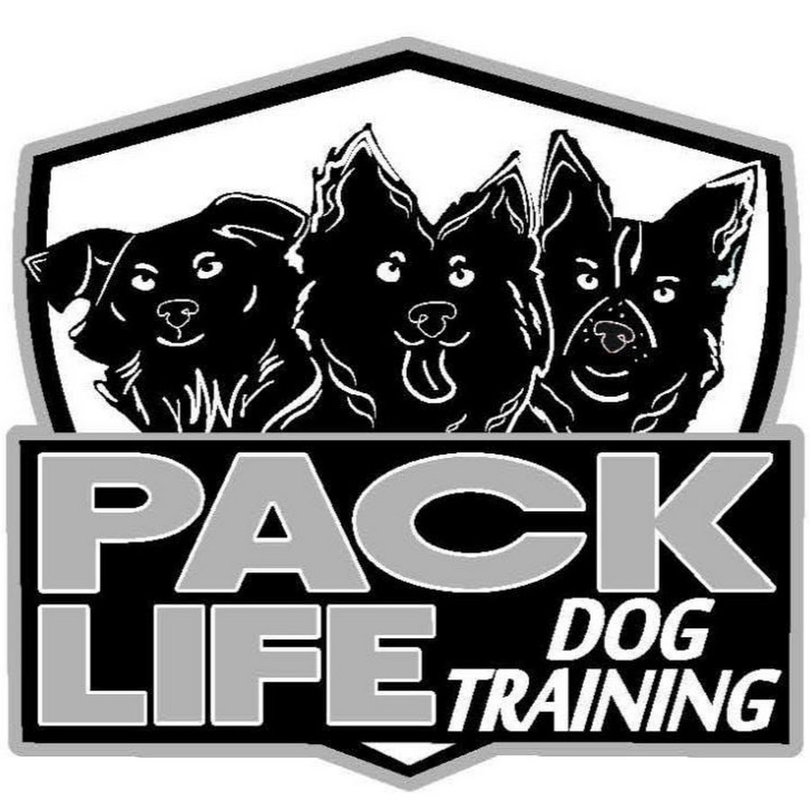 Pack Life Dog Training YouTube