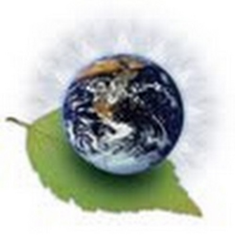 vitaloxide - YouTube