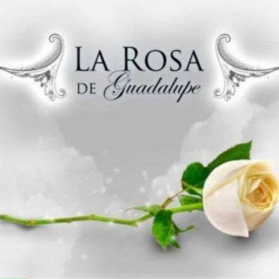 La Rosa De Guadalupe Oficial - YouTube