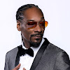 What could SnoopDoggVEVO buy with $3.2 million?