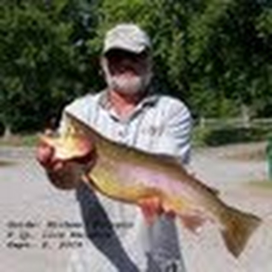 Cotter Trout Dock YouTube