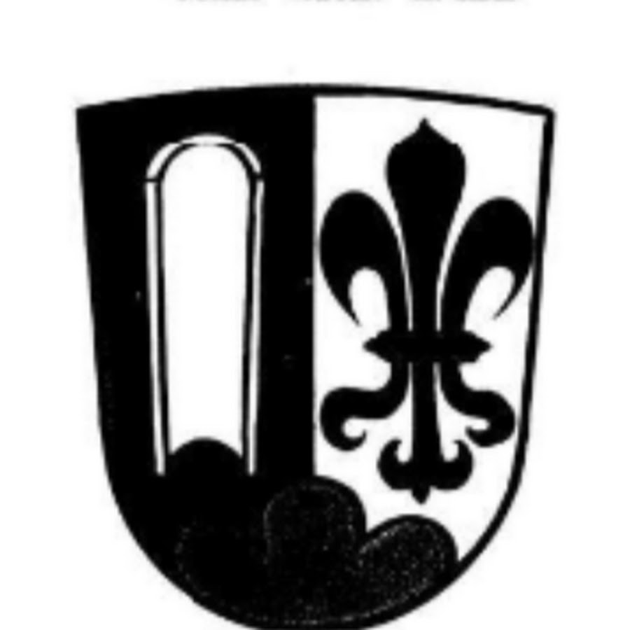 Вымышленный герб. Вымышленные гербы. Вымышленный герб. Выдуманный герб. Вымышленные гербы.