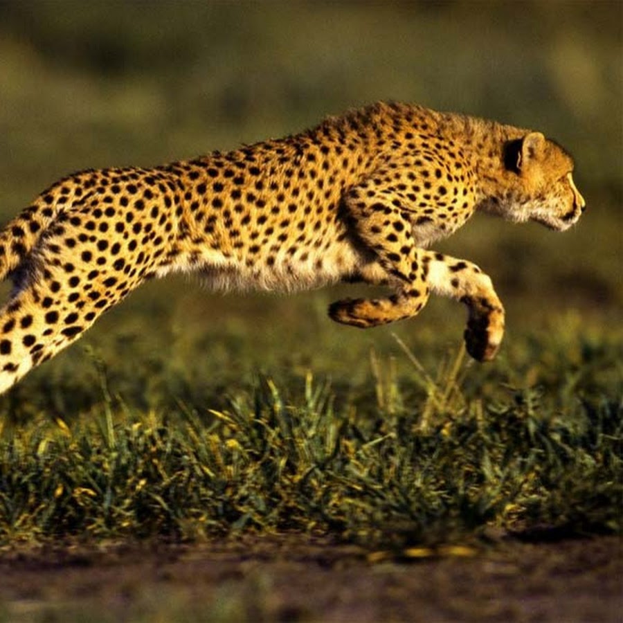 Ultimate Kids Playground - YouTube