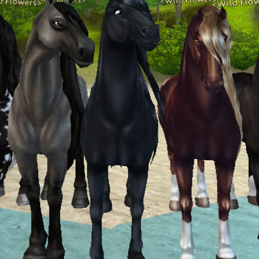 Wild Flowers SSO YouTube