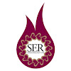 What could Ser Yapım buy with $222.6 thousand?