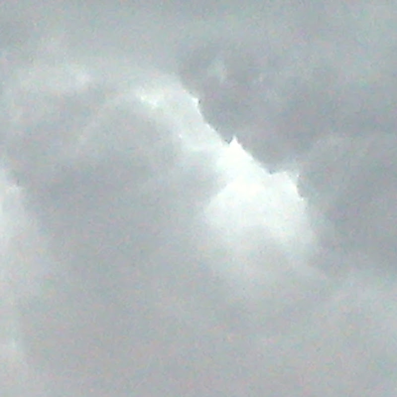 Eric Hansen on YouTube