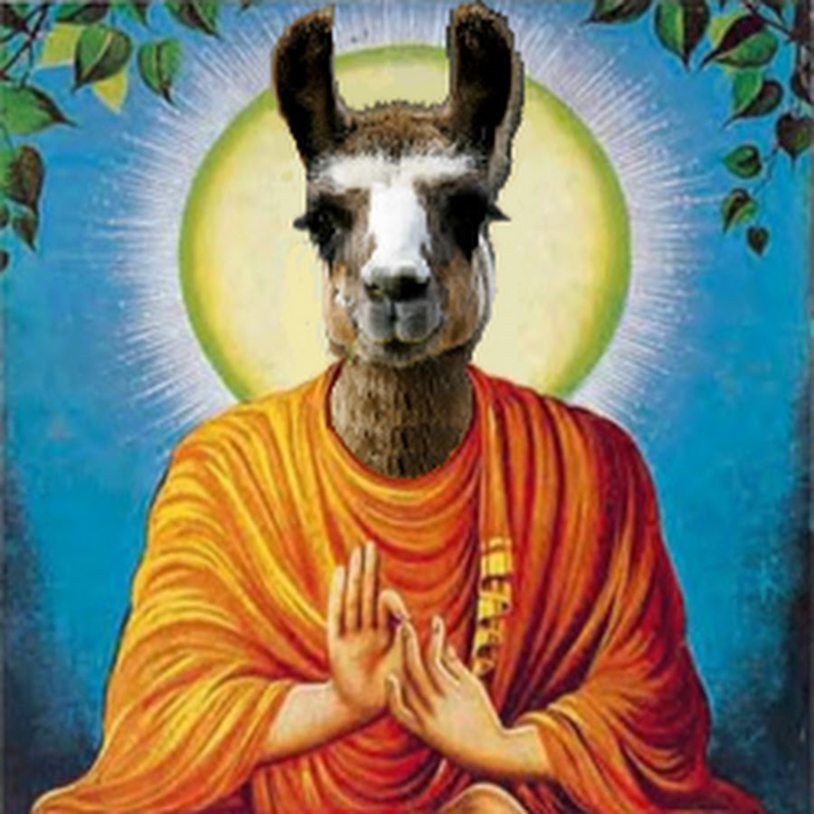 Dolly the Llama YouTube