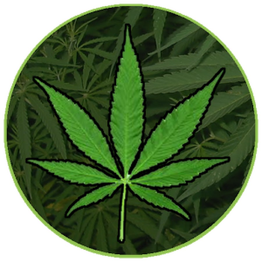 Наклейки лист конопли сколько марихуана определяется в организме