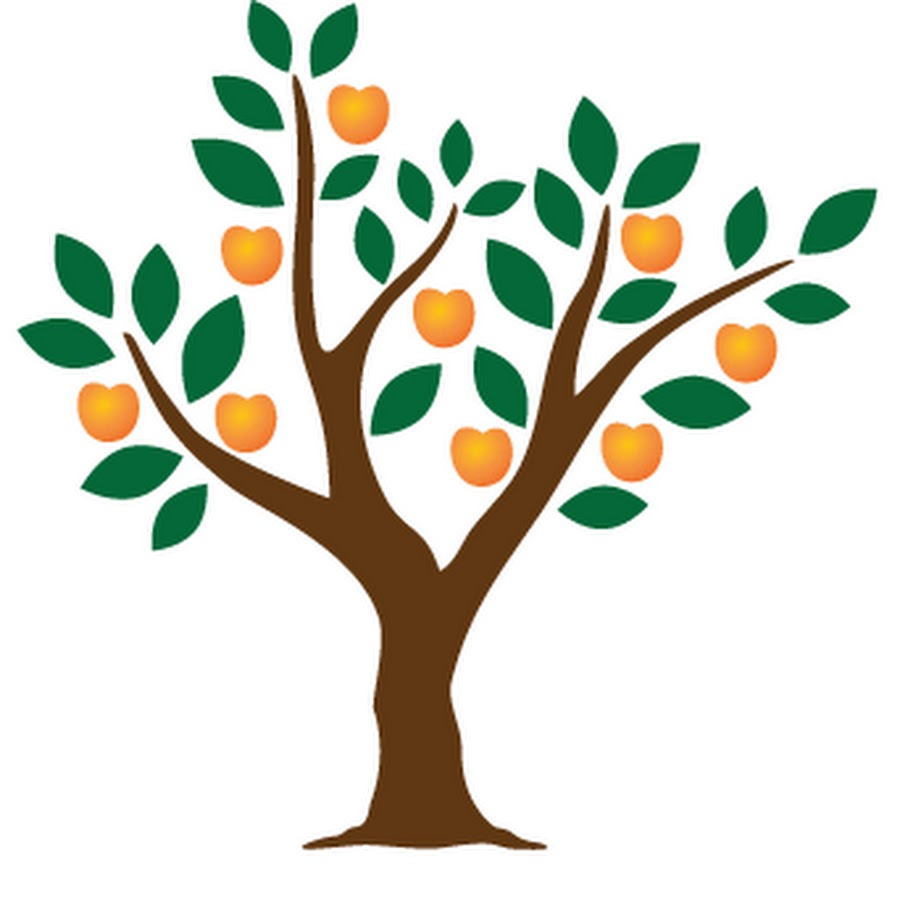 Download usefulplants - YouTube