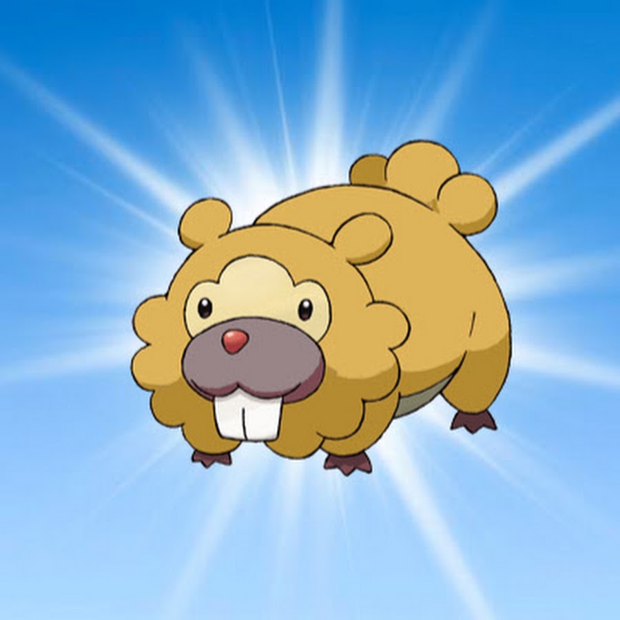 Il Bidoof shiny YouTube