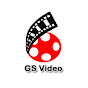 GS Video