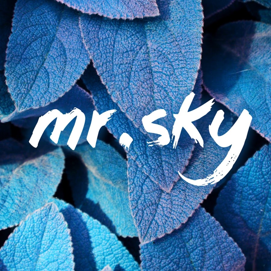 Mr sky