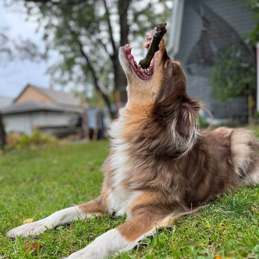 манга джоджо джотаро. джо джо манга джотаро куджо. манга джоджо джотаро. джонатан джостар. джотаро куджо.