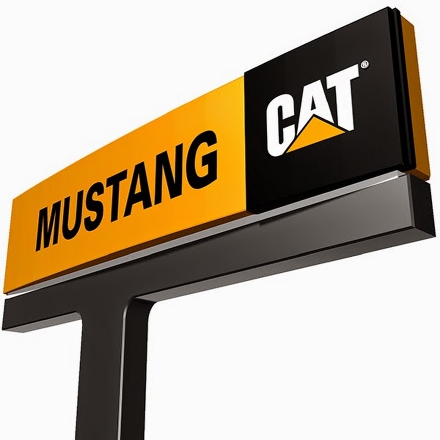 Mustang Cat YouTube